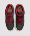 Riot Skateshop x Nike SB Dunk Low On Foot Look