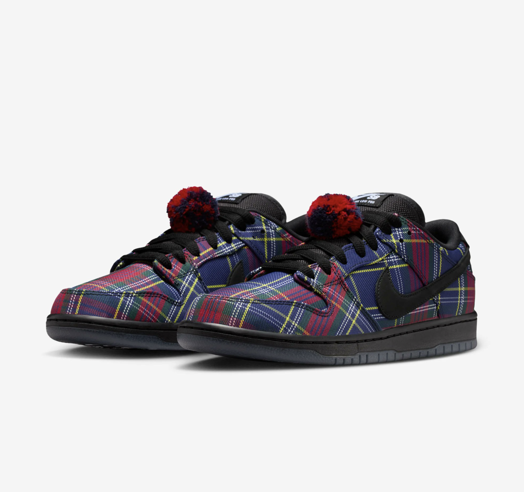 Nardwuar x Nike SB Dunk Low in-hand view