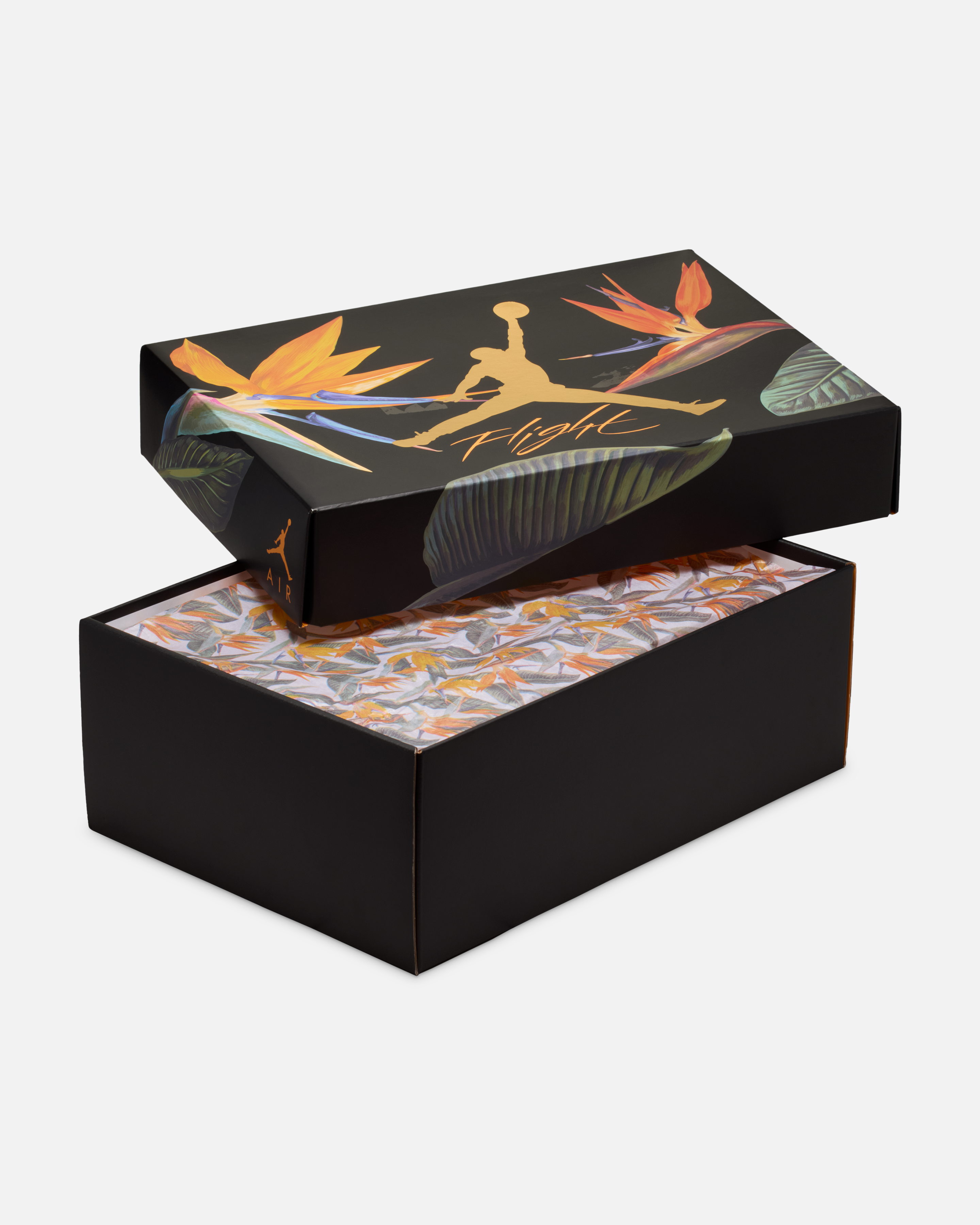 Air Jordan 4 Birds of Paradise