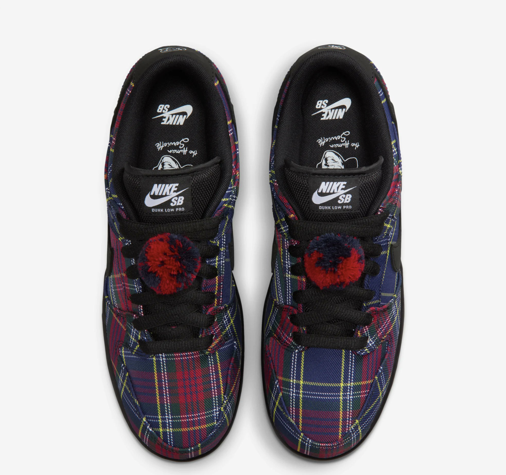 Nardwuar x Nike SB Dunk Low in-hand view