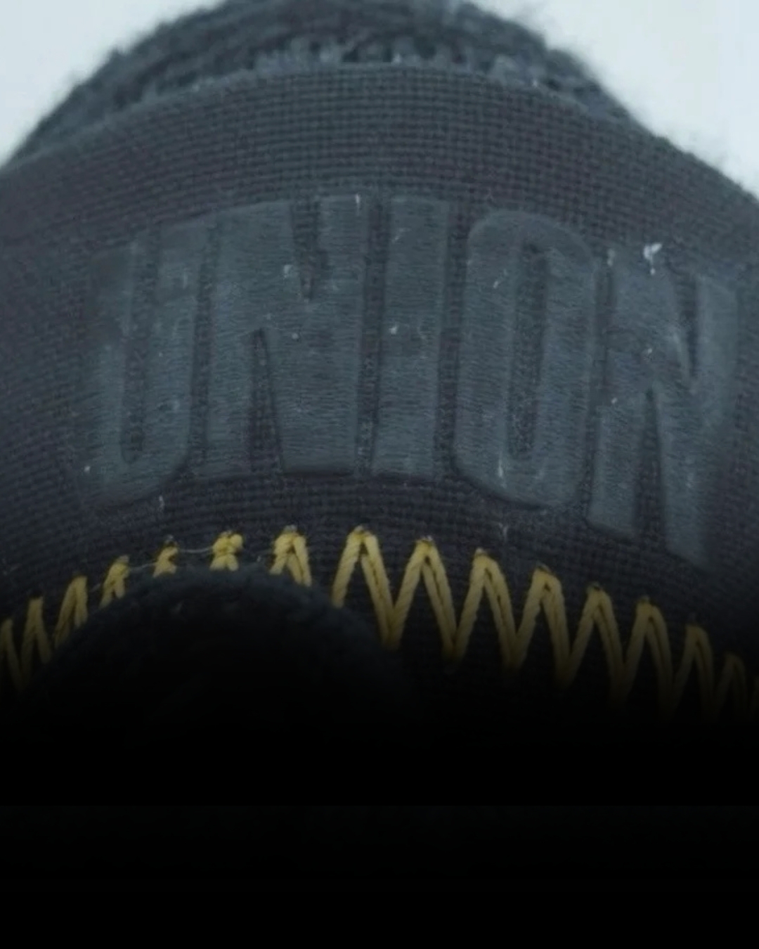 union nike dunk low