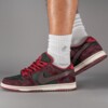 Riot Skateshop x Nike SB Dunk Low On Foot Look
