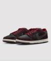 Riot Skateshop x Nike SB Dunk Low On Foot Look