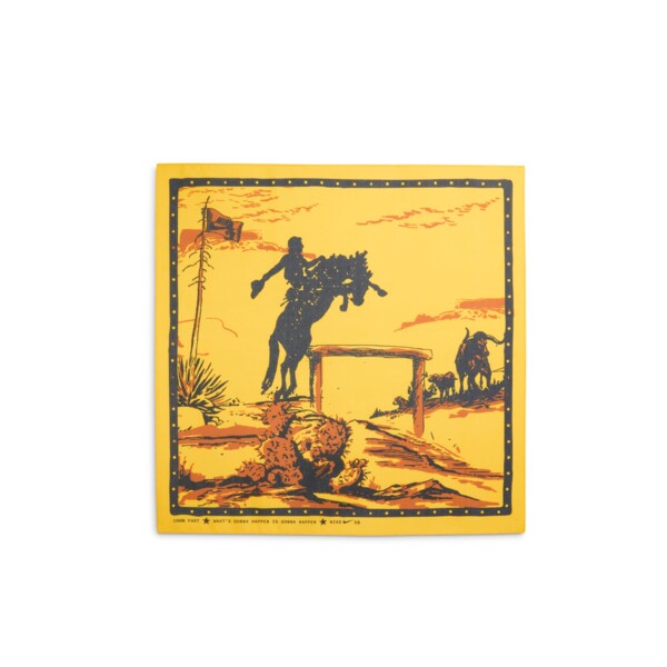 Nike SB Dunk Low "Rodeo" (HF3058-300) Erscheinungsdatum