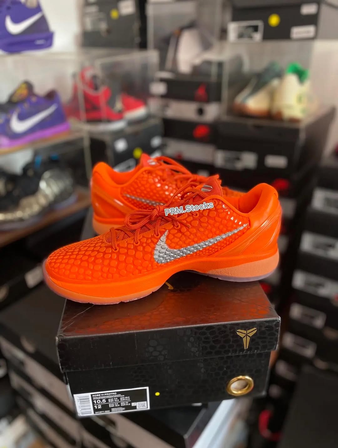 Nike Kobe 6 Protro 