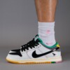 CSEF x Nike SB Dunk Low