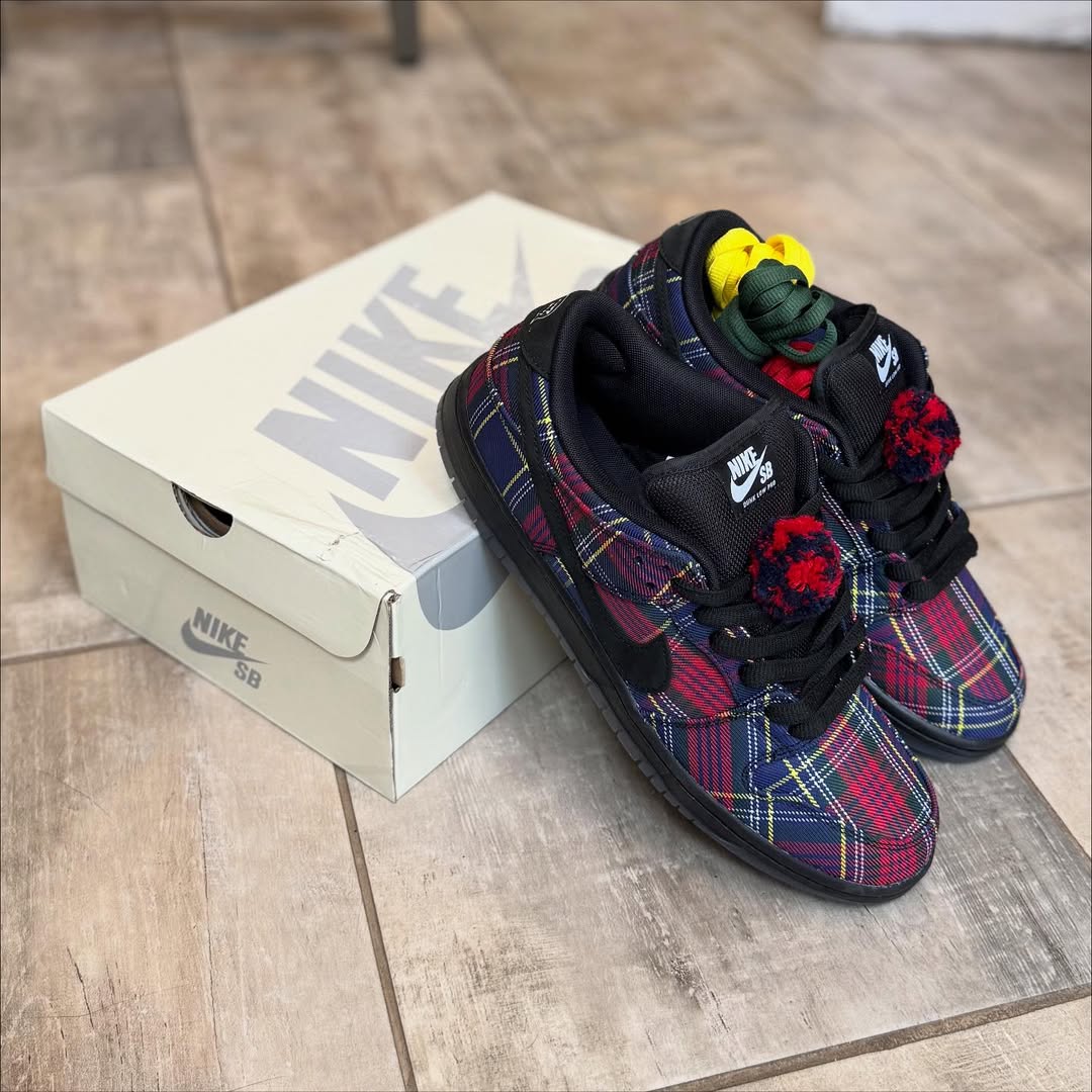 Nardwuar x Nike SB Dunk Low in-hand view