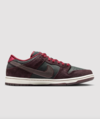 Riot Skateshop x Nike SB Dunk Low On Foot Look