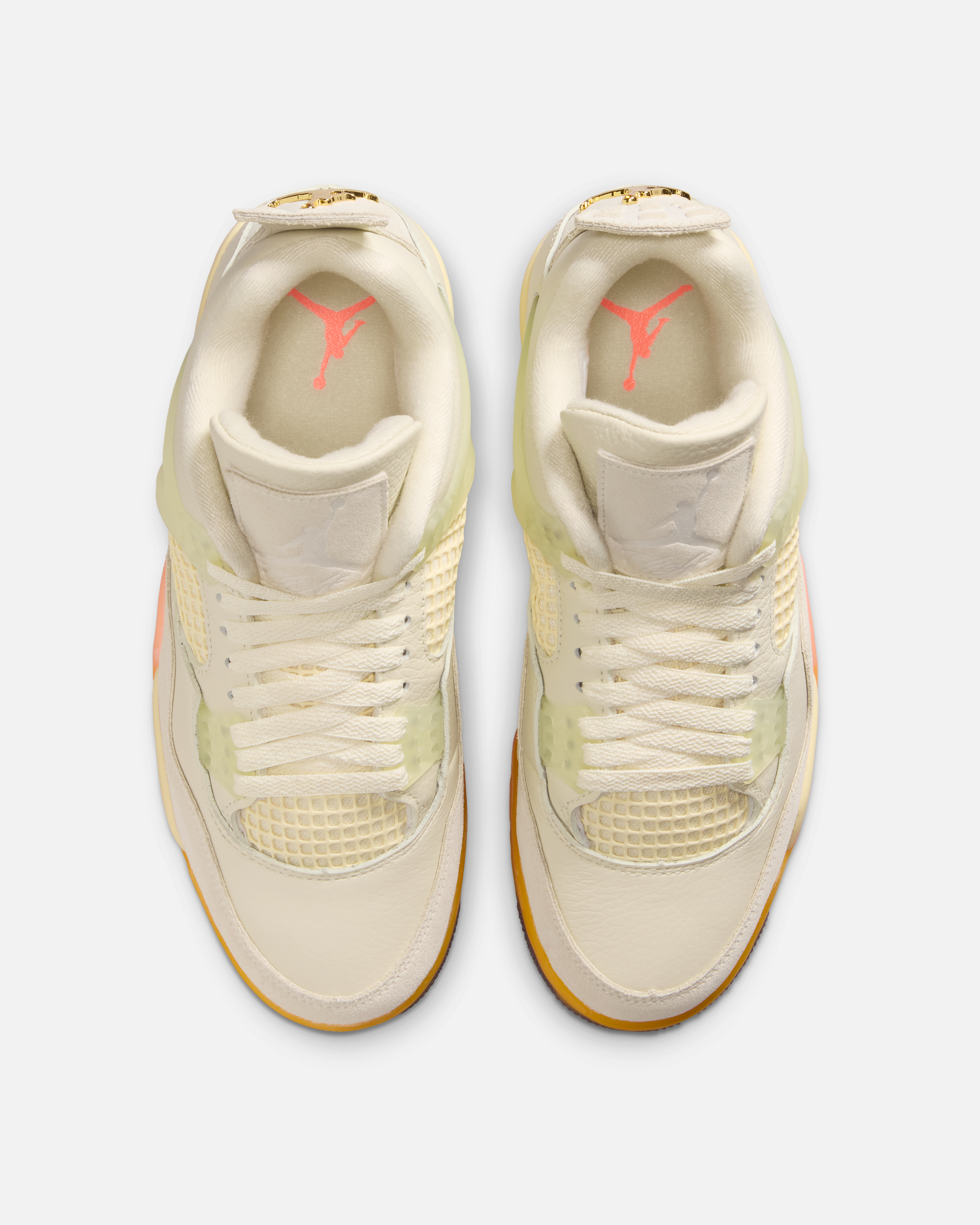 Air Jordan 4 Birds of Paradise