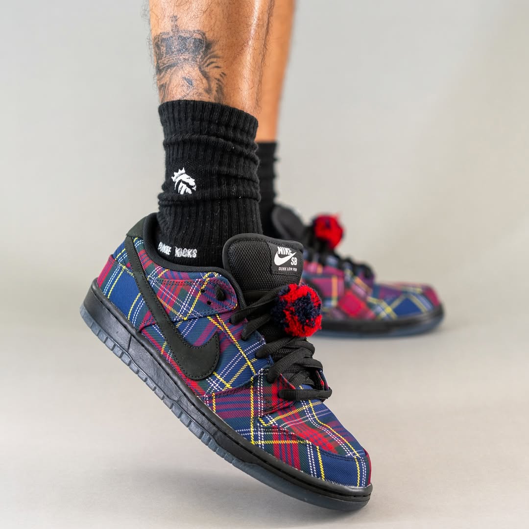 Nardwuar x Nike SB Dunk Low in-hand view