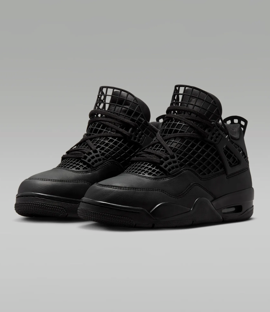 Air Jordan 4 NET 