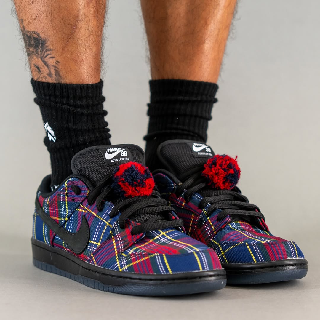 Nardwuar x Nike SB Dunk Low in-hand view