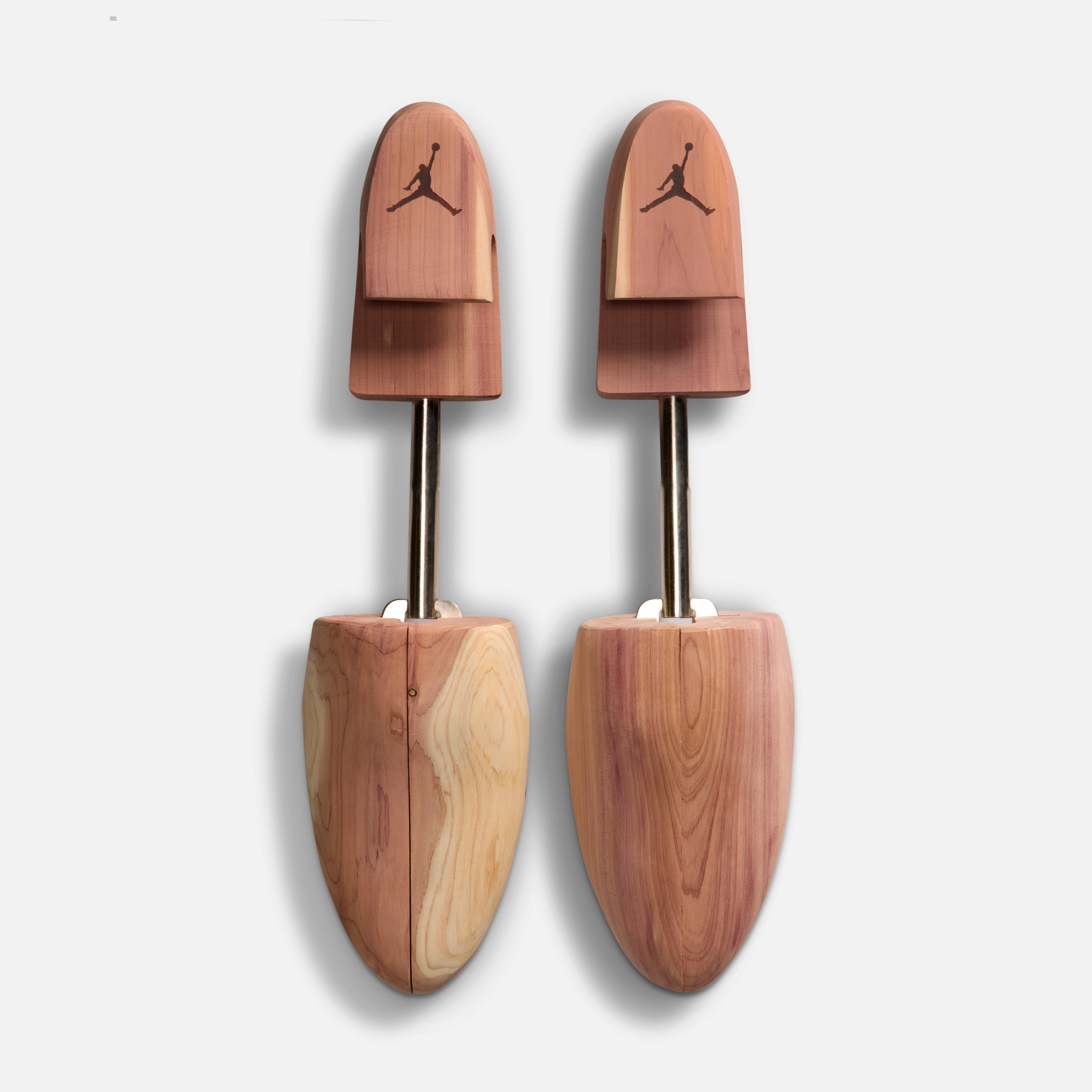 Air Jordan 6 Premio BIN 23