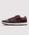 Riot Skateshop x Nike SB Dunk Low On Foot Look