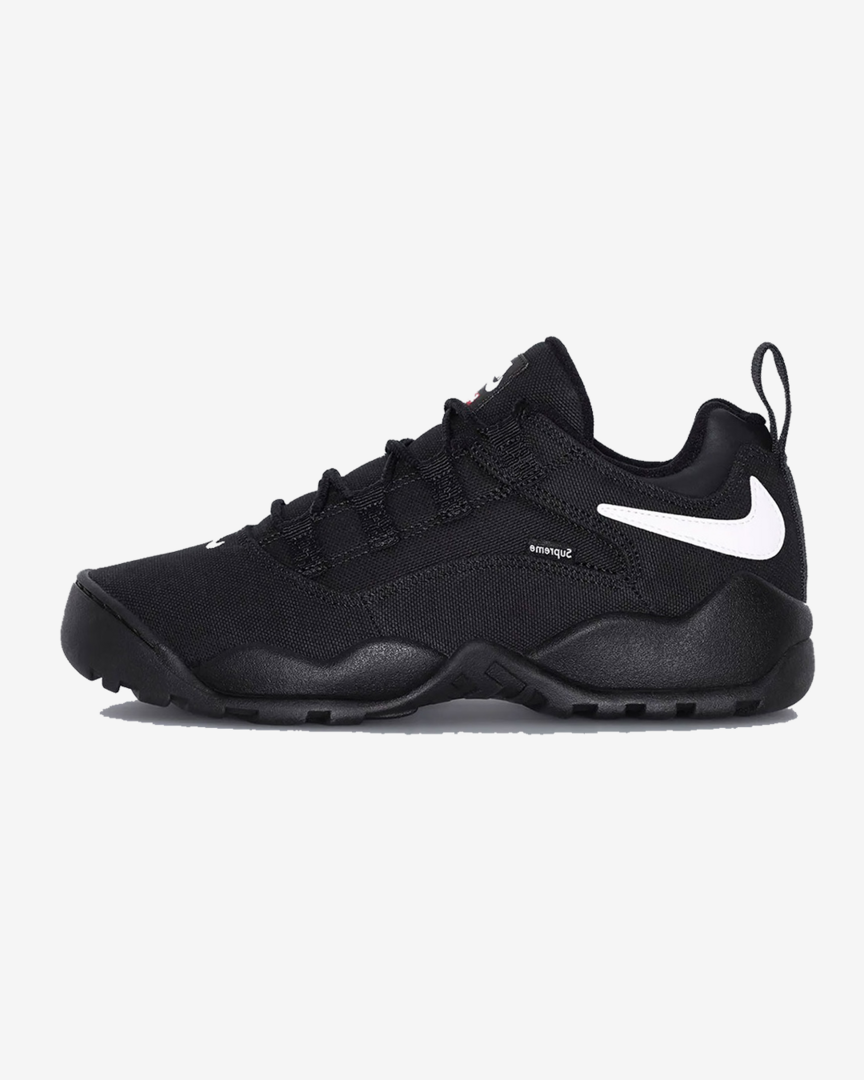 Supreme-Nike-SB-Darwin-Low-