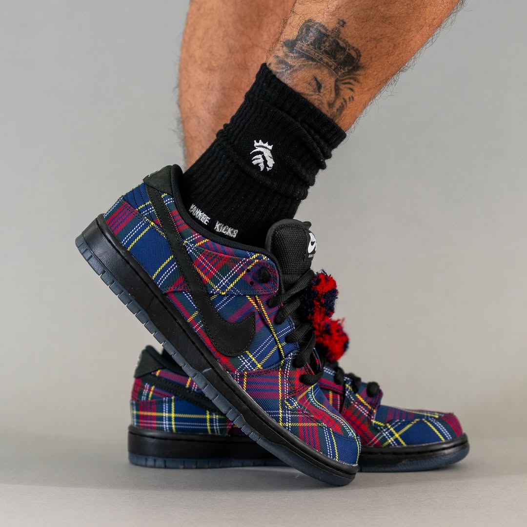 Nardwuar x Nike SB Dunk Low in-hand view