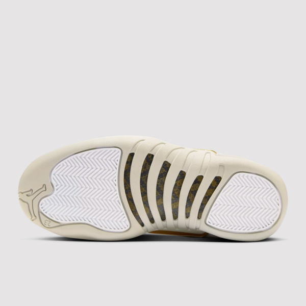 Air Jordan 12 “Phantom” (W) (FD9101-007) Release Date