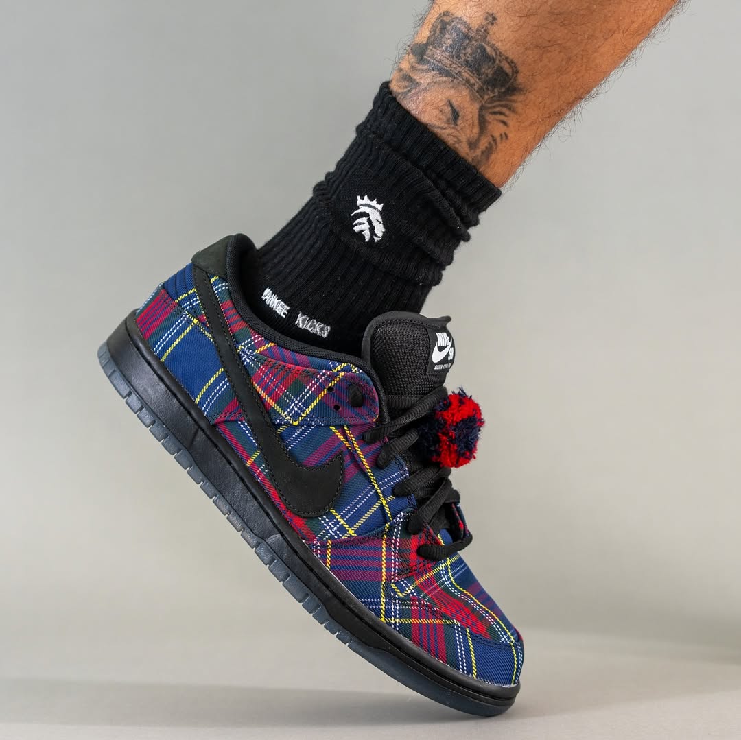 Nardwuar x Nike SB Dunk Low in-hand view