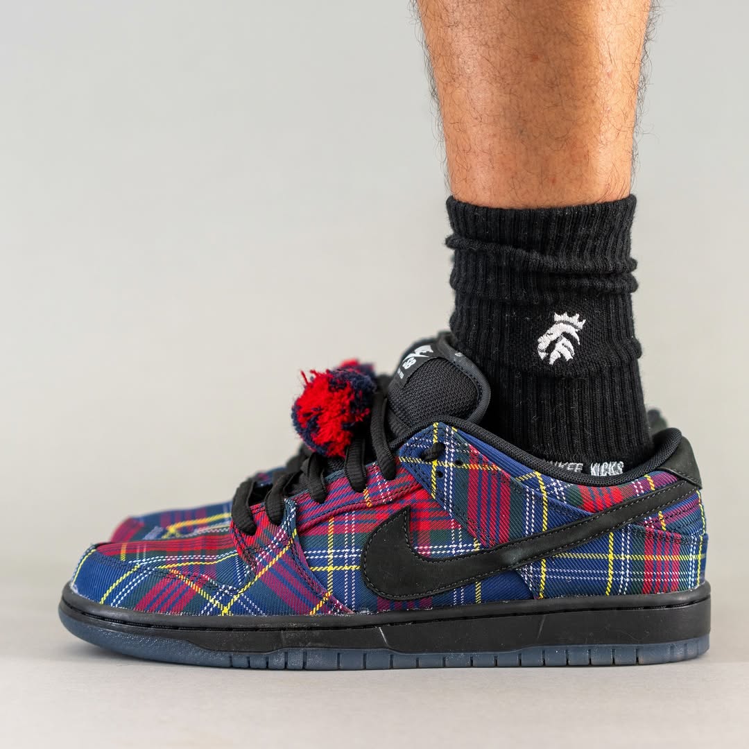 Nardwuar x Nike SB Dunk Low in-hand view