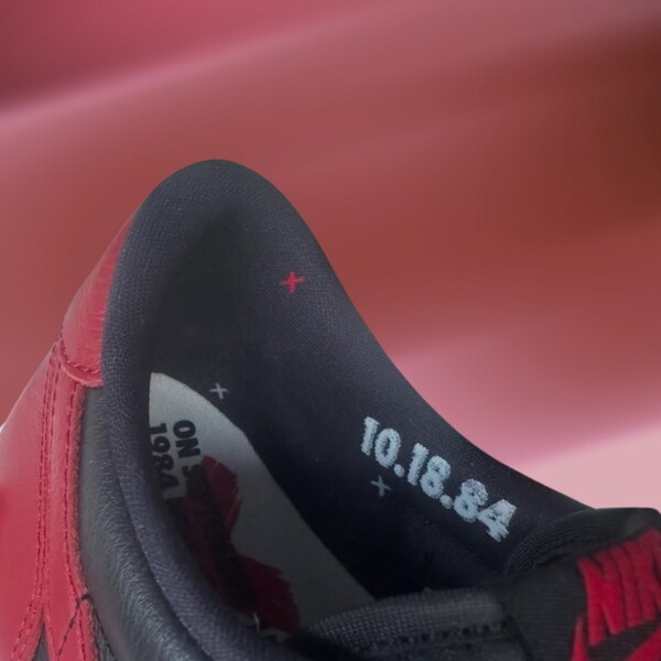 jordan air force 1 banned