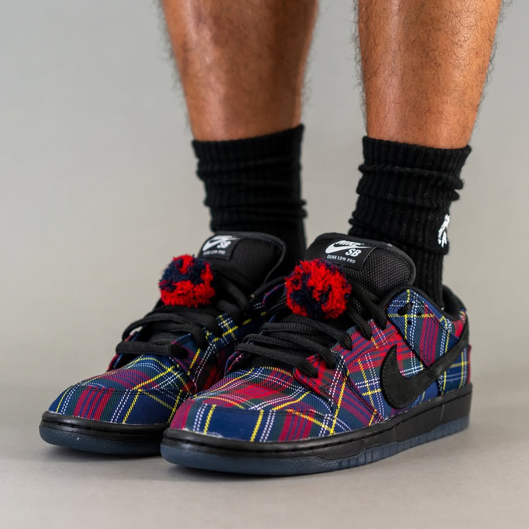 Nardwuar x Nike SB Dunk Low in-hand view