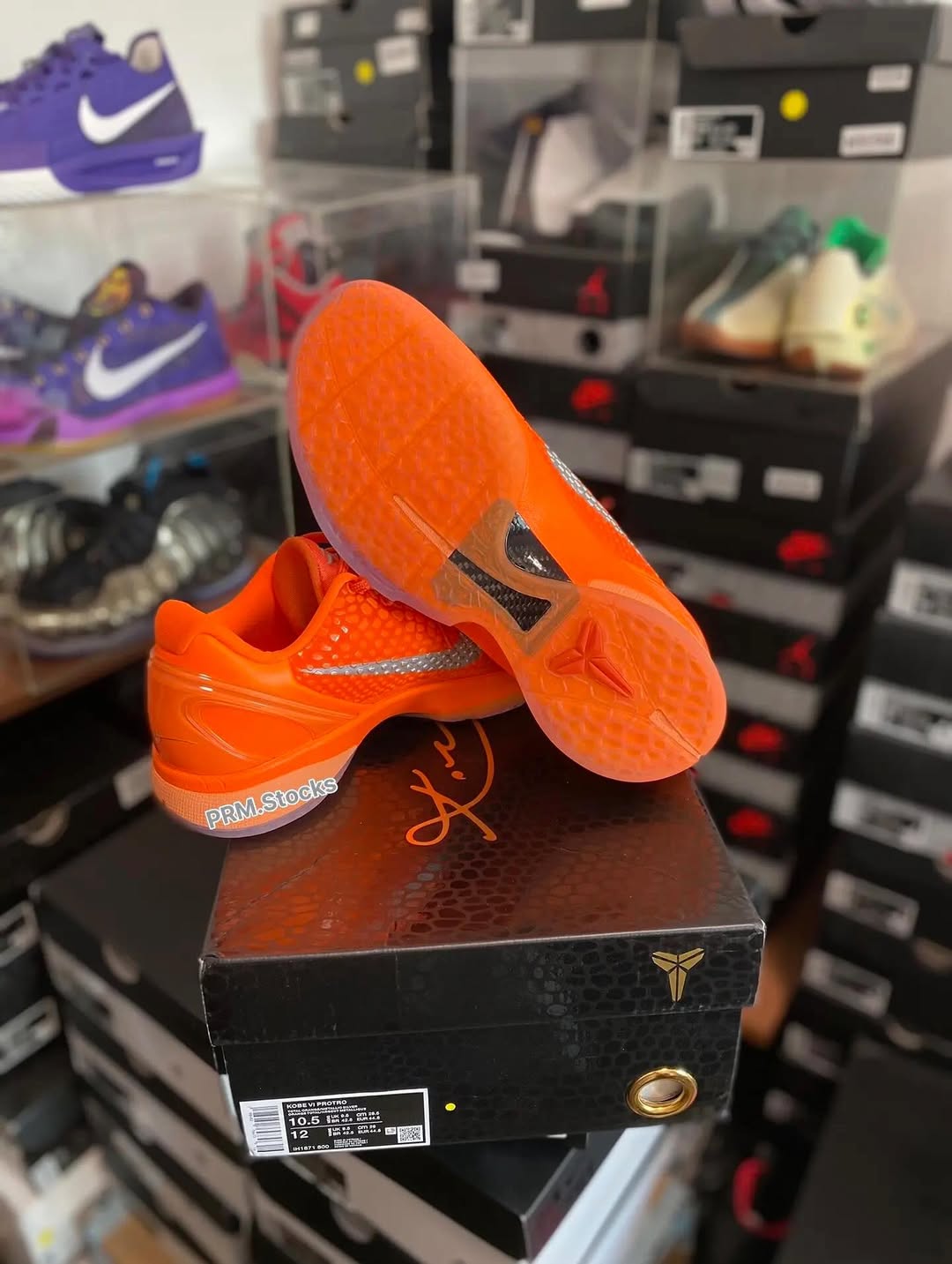 Nike Kobe 6 Protro 