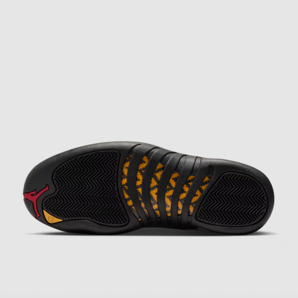 Air Jordan 12 "Taxi" (CT8013-117) Release Date