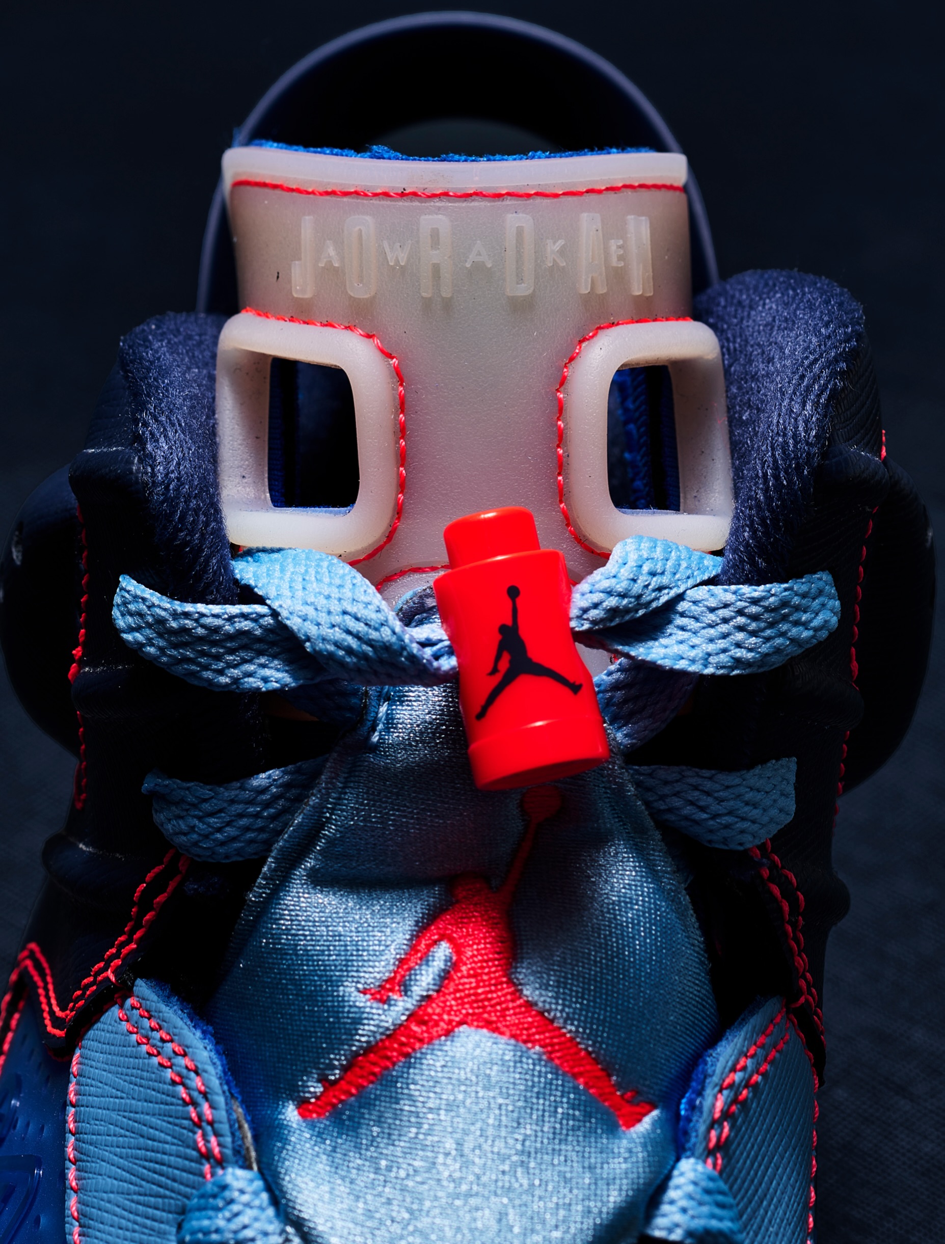 Awake NY Air Jordan 6 Blueberry