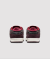 Riot Skateshop x Nike SB Dunk Low On Foot Look
