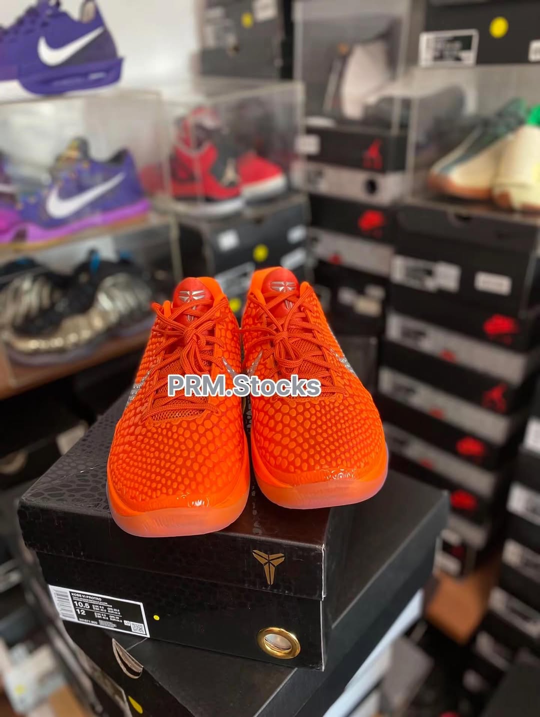 Nike Kobe 6 Protro 