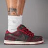 Riot Skateshop x Nike SB Dunk Low On Foot Look